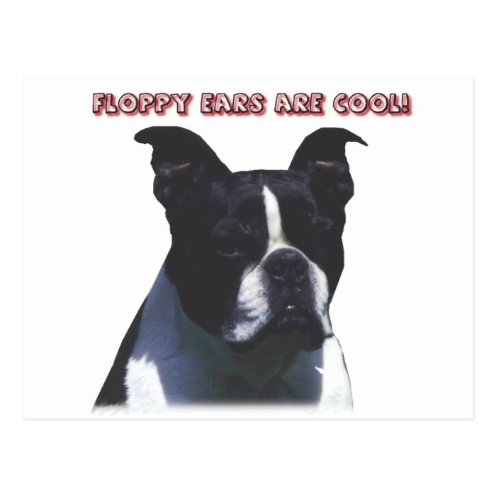 Boston Terrier  Floppy Ears are Cool Post Cards