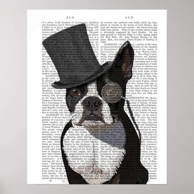Boston Terrier, Formal Hound and Hat Poster (Front)