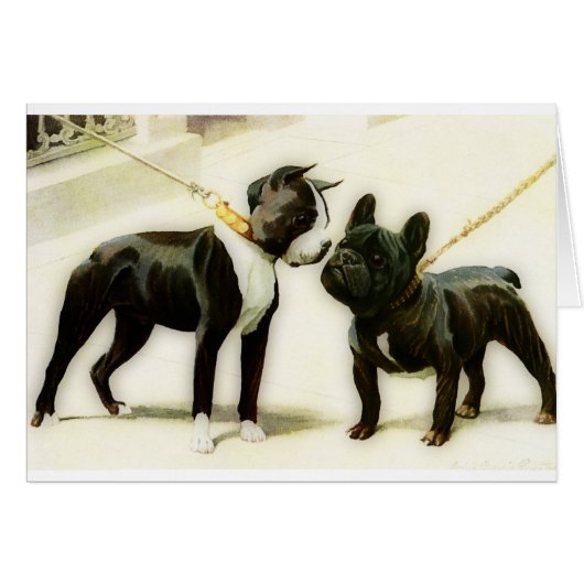 BOSTON TERRIER&FRENCH BULLDOG CARDS (Front Horizontal)