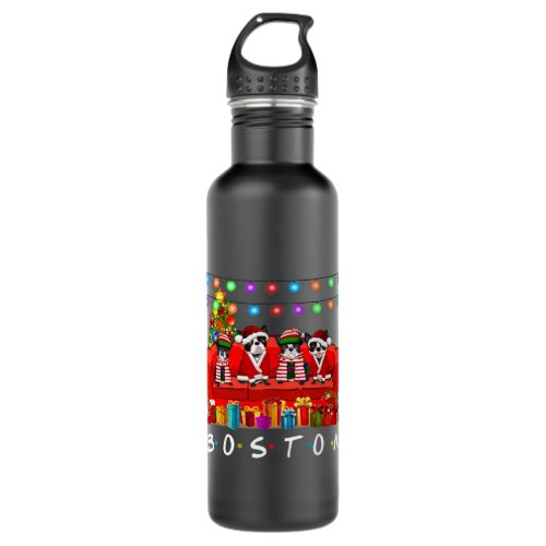 Boston Terrier Friends Christmas Lights Stainless Steel Water Bottle