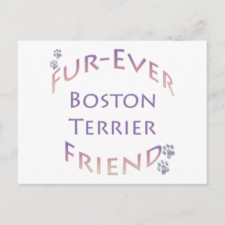 Boston Terrier Furever Postcard