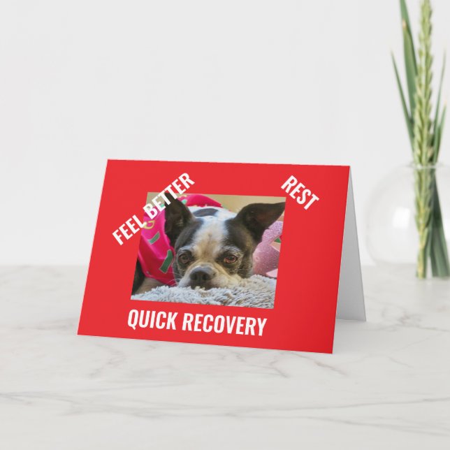 BOSTON TERRIER get well card (Front)