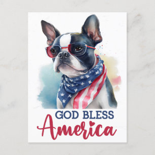 Boston Terrier, God Bless America Postcard