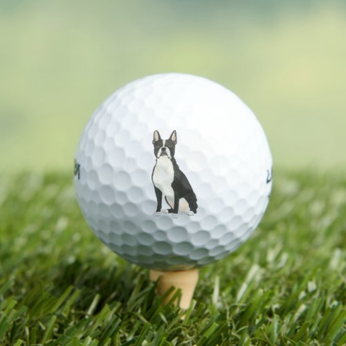 Boston Terrier Golf Balls