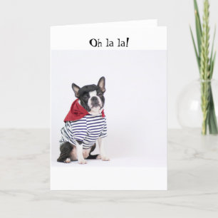Boston Terrier greeting card