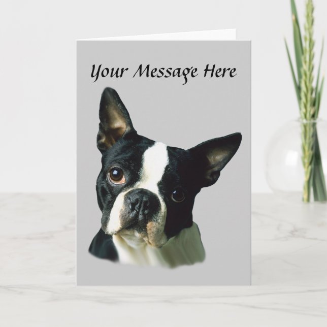 Boston Terrier Greeting Card (Front)