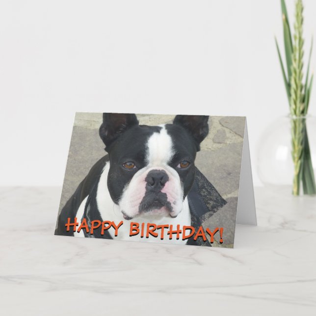 Boston Terrier greetings card (Front)