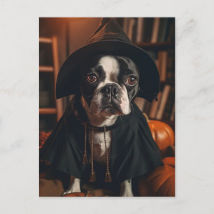 Boston Terrier Halloween Postcard