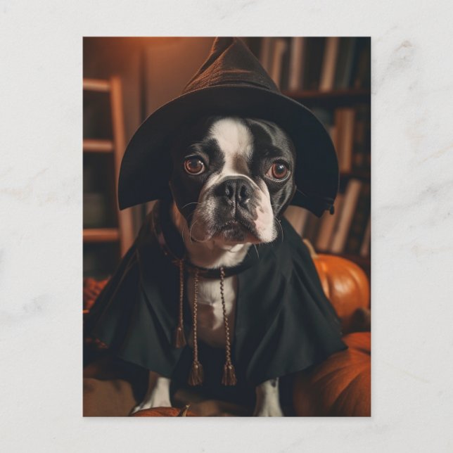 Boston Terrier Halloween Postcard (Front)
