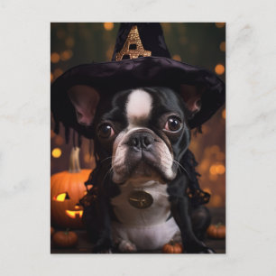 Boston Terrier Halloween Postcard