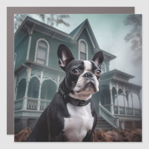 Boston Terrier Halloween Scary Car Magnet