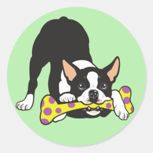 Boston Terrier. Happy go lucky Classic Round Sticker