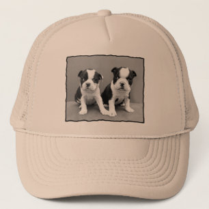 Boston Terrier hat