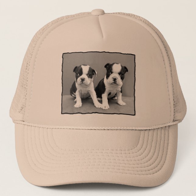 Boston Terrier hat (Front)