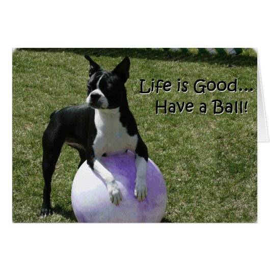 Boston Terrier: Have a Ball! Cards (Front Horizontal)
