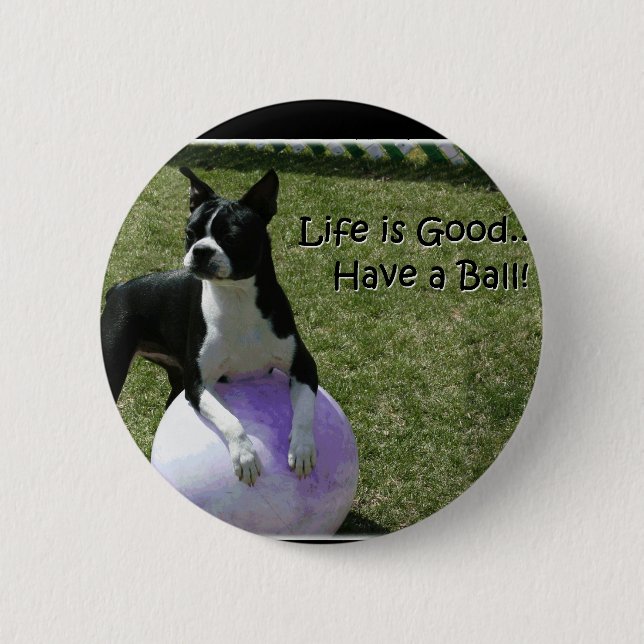 Boston Terrier:  Have a Ball! Pinback Button (Front)