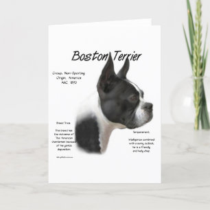 Boston Terrier History Design Holiday Card