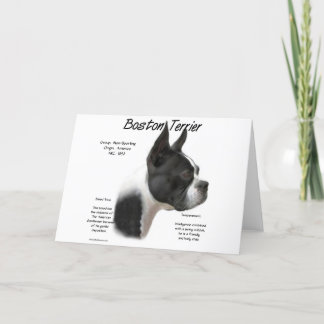 Boston Terrier History Design Holiday Card
