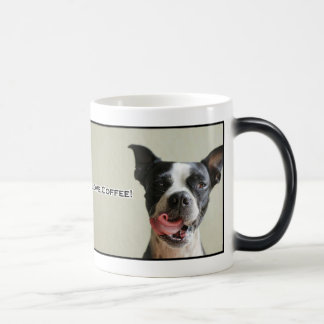 Boston Terrier I Love Coffee Mug