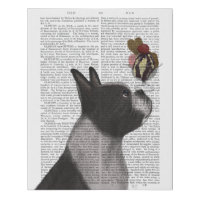 Boston Terrier Ice Cream