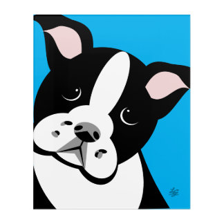 Boston Terrier Illustration Acrylic Print