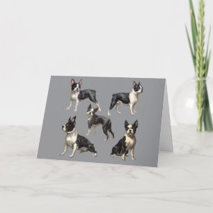 Boston Terrier Illustration Card