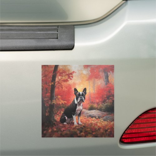 Boston Terrier in Autumn Leaves Fall Inspire  Car Magnet