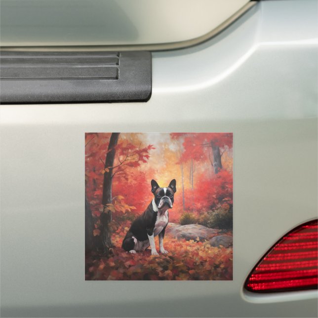 Boston Terrier in Autumn Leaves Fall Inspire  Car Magnet (In Situ)