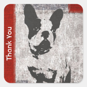 Boston Terrier in Black and White Thank You Square Sticker