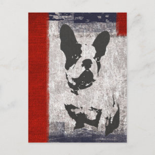 Boston Terrier in Black and White With Red Border Postcard