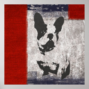 Boston Terrier in Black and White With Red Border Poster