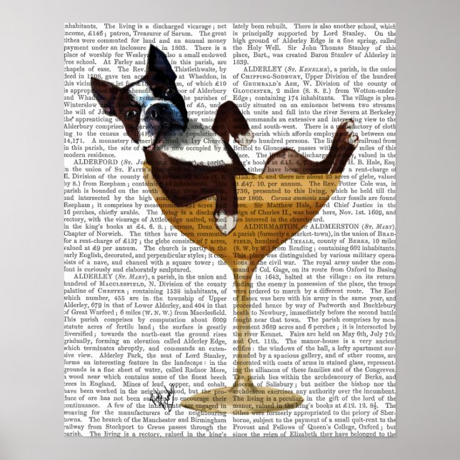 Boston Terrier in Cocktail Glass Poster (Front)