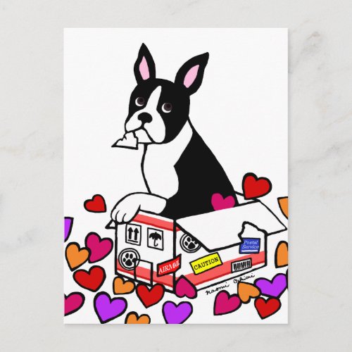 Boston Terrier in the Box Cartoon Postcard