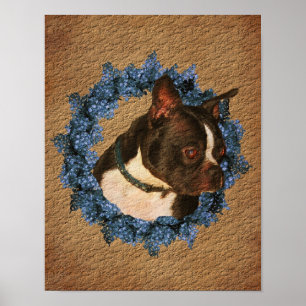Boston Terrier In Wreath Aged Paper Art  Poster