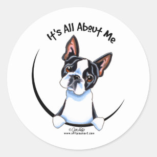Boston Terrier Its All About Me Classic Round Sticker