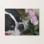Boston terrier jigsaw puzzle<br><div class="desc">Very handsome Boston terrier with roses</div>