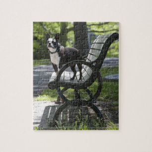 Boston Terrier Jigsaw Puzzle