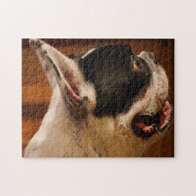 Boston Terrier Jigsaw Puzzle (Horizontal)