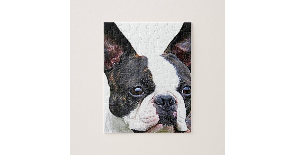 https://rlv.zcache.com/boston_terrier_jigsaw_puzzle-re9ac5cac0f1c4a3a8a5508613f1b172f_ambtl_8byvr_630.jpg?view_padding=%5B285%2C0%2C285%2C0%5D