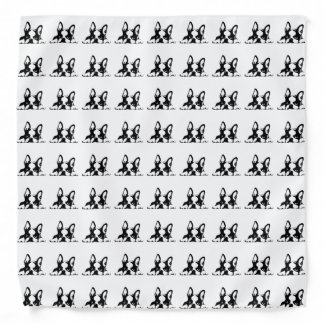 BOSTON TERRIER KOTARO & TEN TEN BANDANA