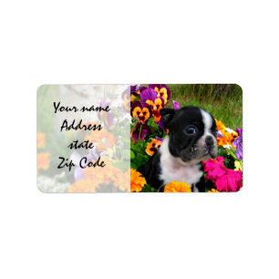 Boston Terrier Label