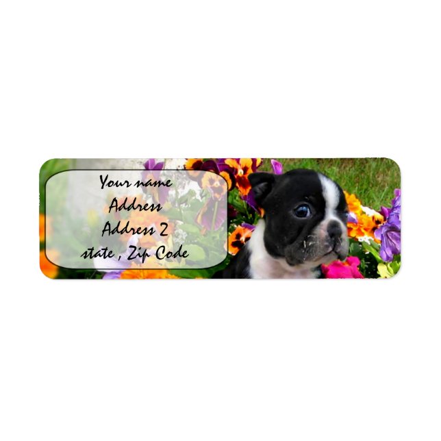 Boston Terrier Label (Front)