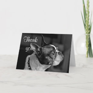Boston terrier letterpress thank you card