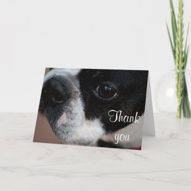 Boston terrier letterpress thank you card (Front)