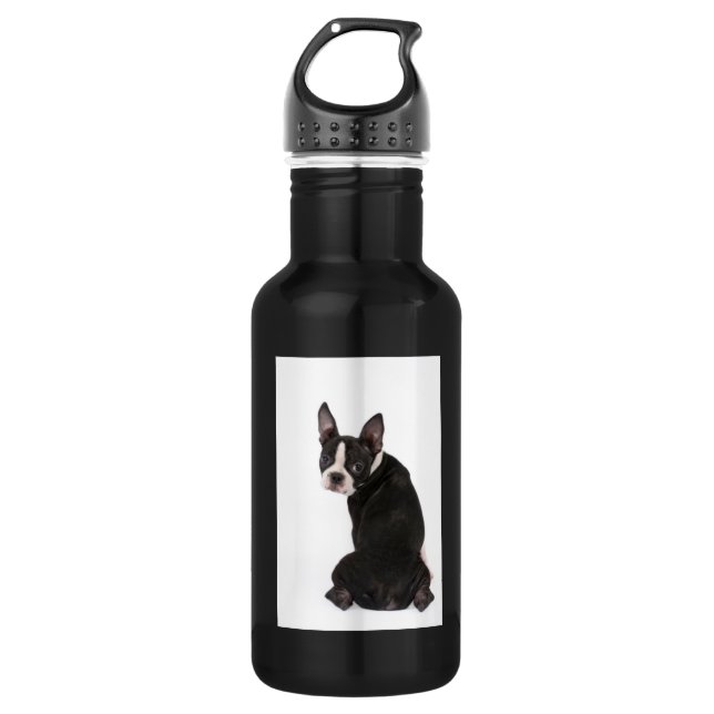 Boston Terrier Liberty Stainless Steel Water Bottle (Front)