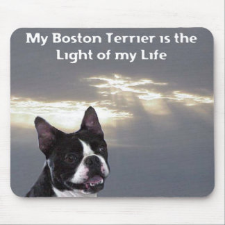 Boston Terrier:  Light of my Life Mouse Pad
