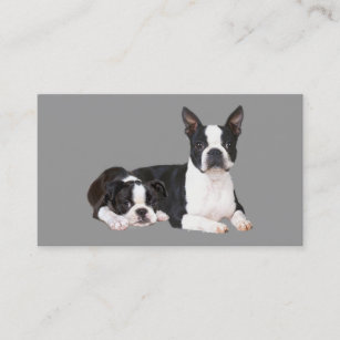 Boston Terrier Lover Business Card