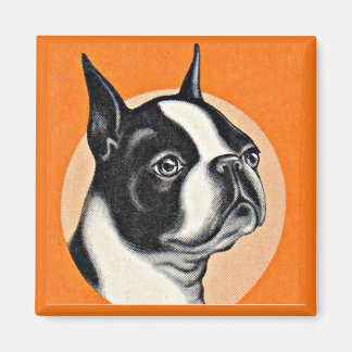 Boston terrier magnet