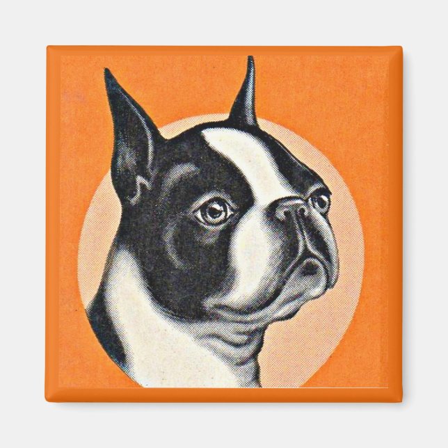 Boston terrier magnet (Front)