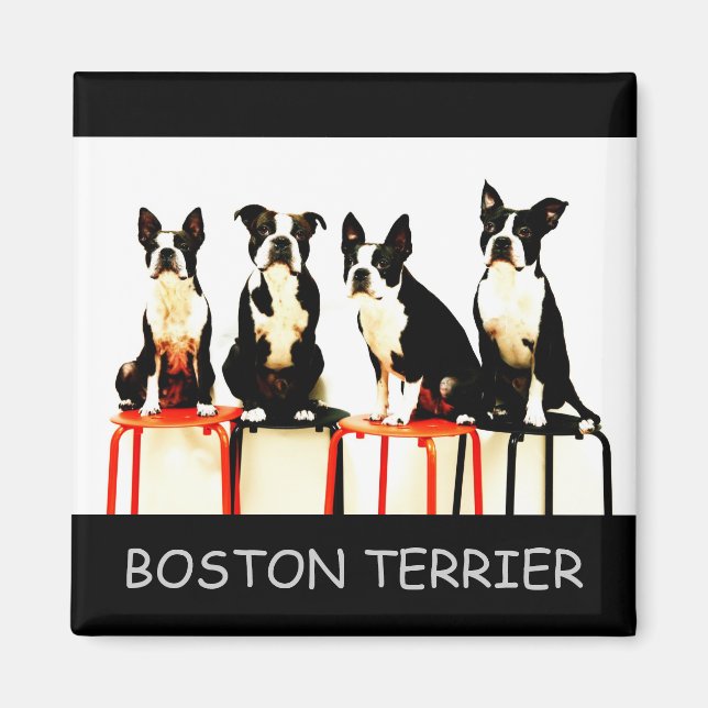 BOSTON TERRIER MAGNET (Front)